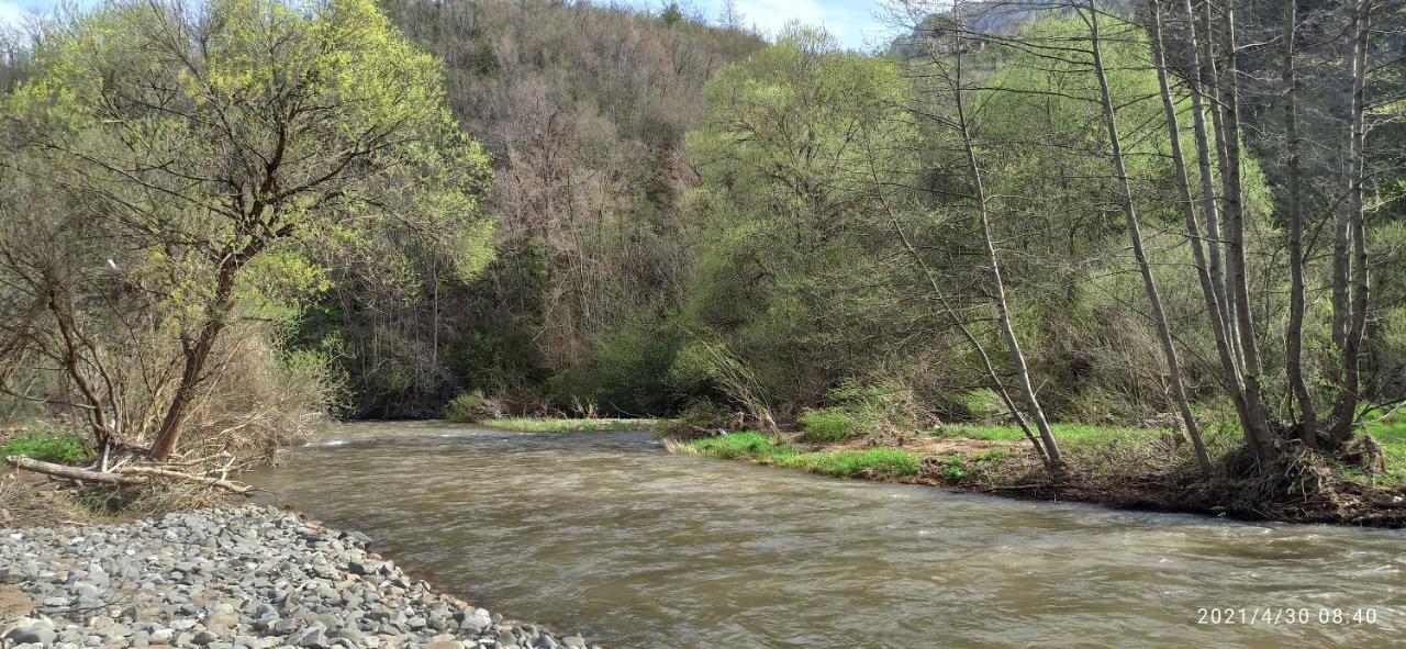 Juzni Vetar Otel Trnski Odorovci Dış mekan fotoğraf