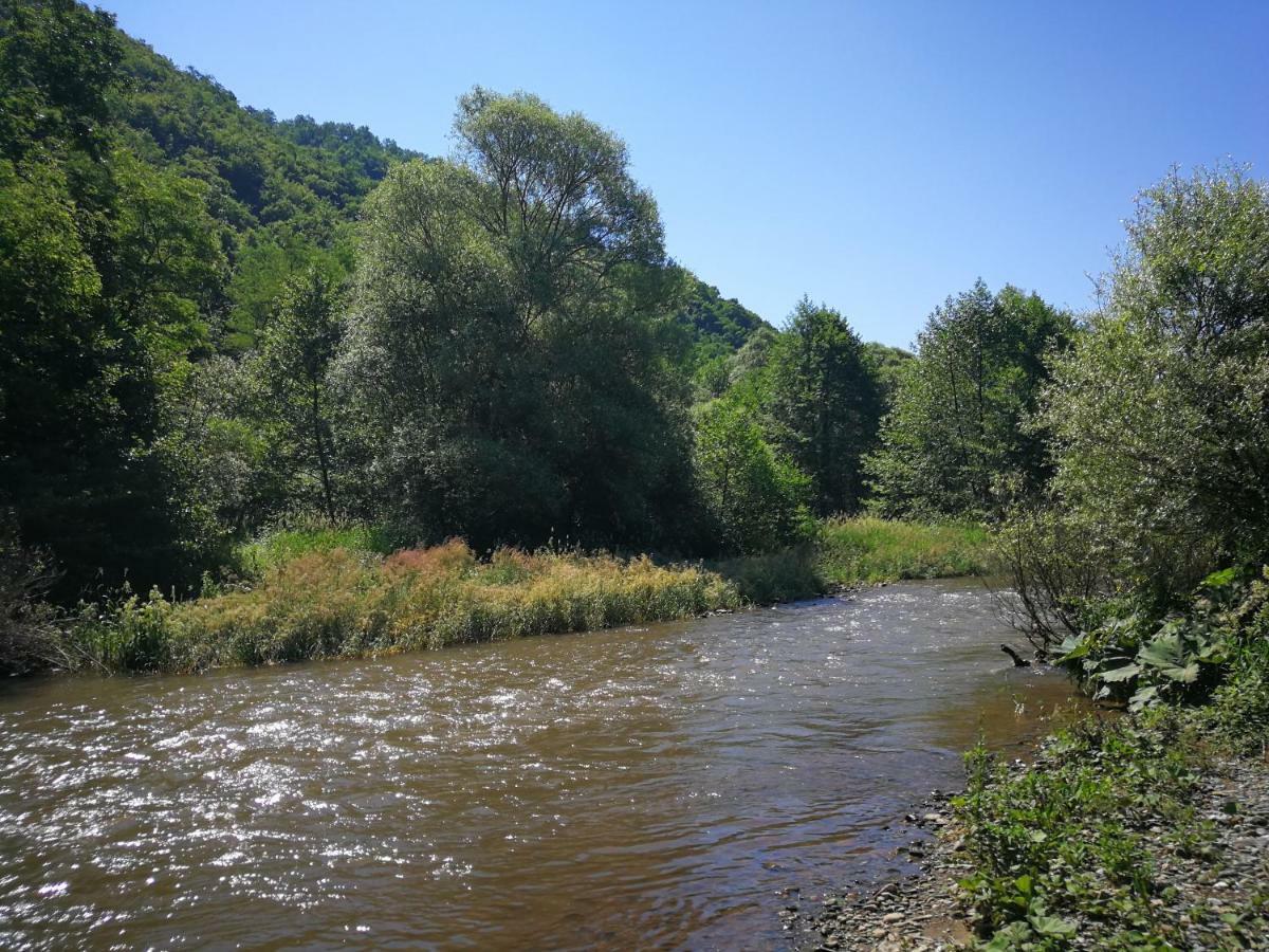 Juzni Vetar Otel Trnski Odorovci Dış mekan fotoğraf